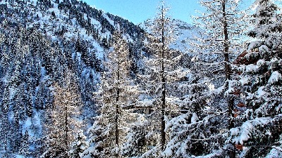 bei Hintertux