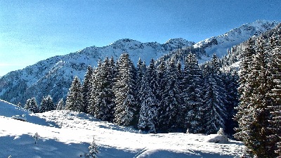 Wildschönau