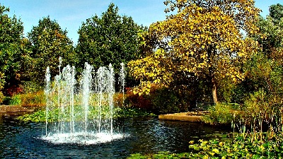 herbst - müga