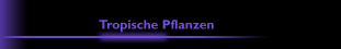 Tropische Pflanzen