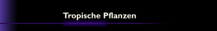 Tropische Pflanzen